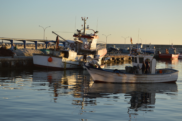 La concejala de Pesca de Motril insta al Gobierno Central a tratar con mayor sensibilidad al sector Pesquero de la Costa Tropical